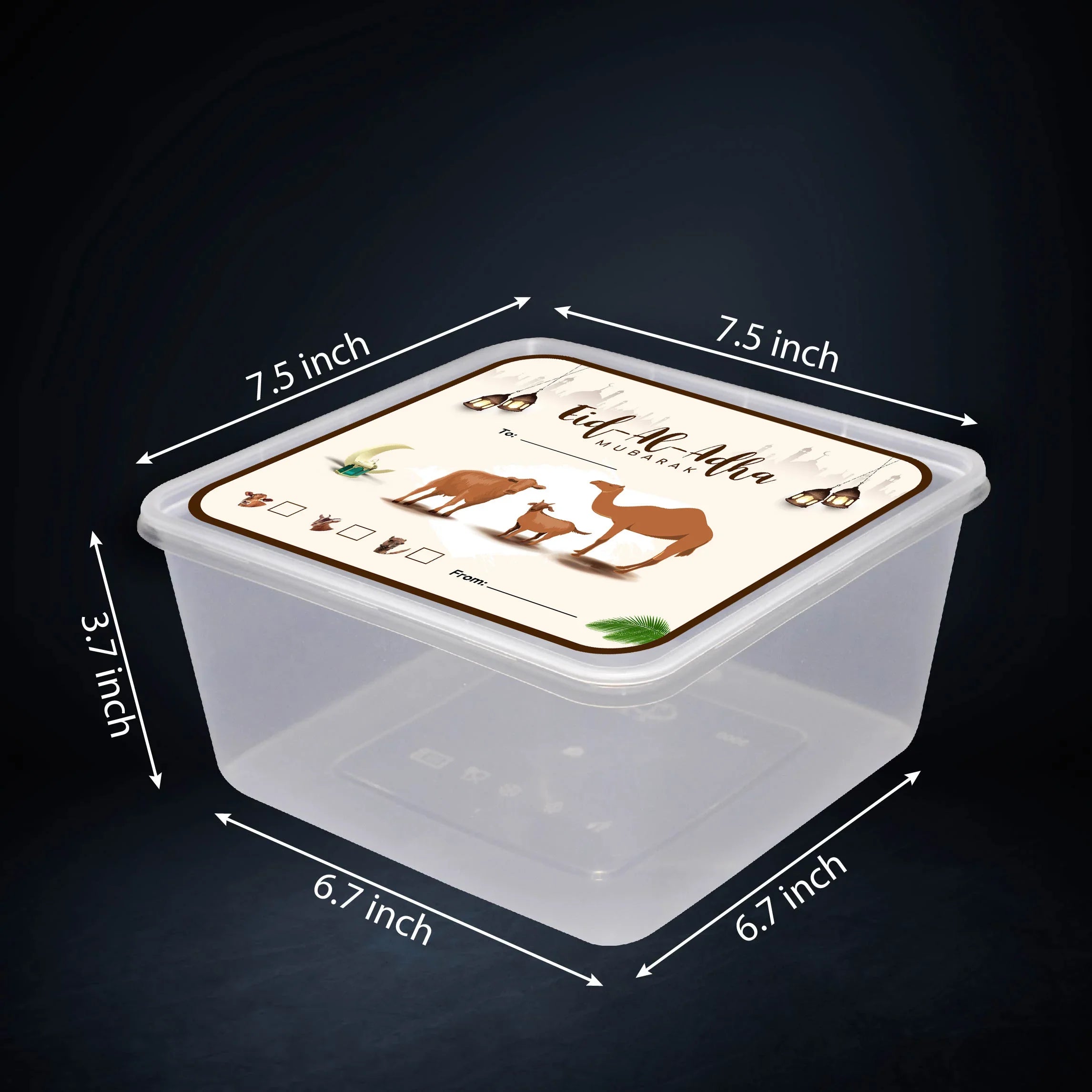3000 ML Plastic Food Takeaway Containers