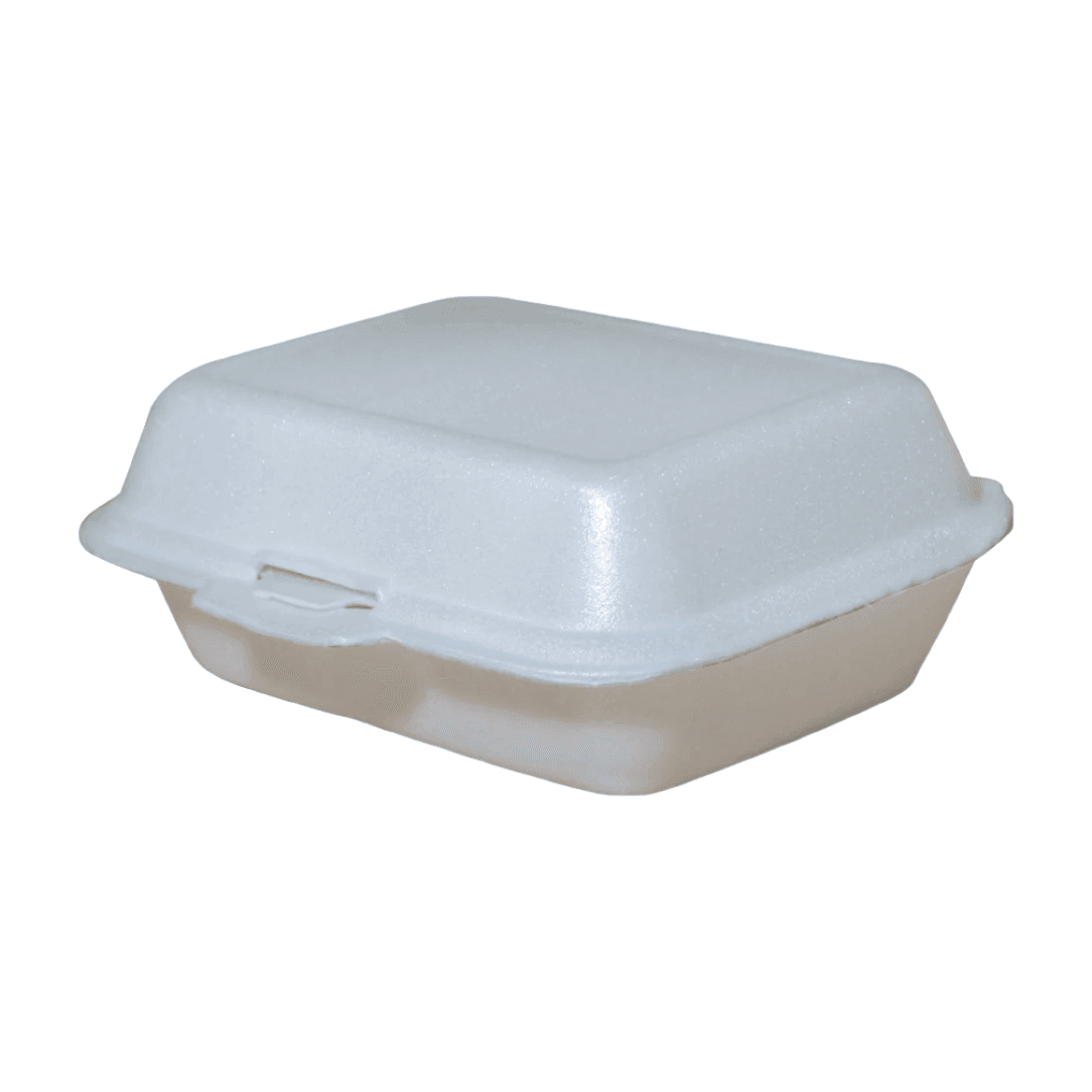 Disposable Thermocol Biryani Boxes MP-11 - Pack of 50 - SV Bazaar