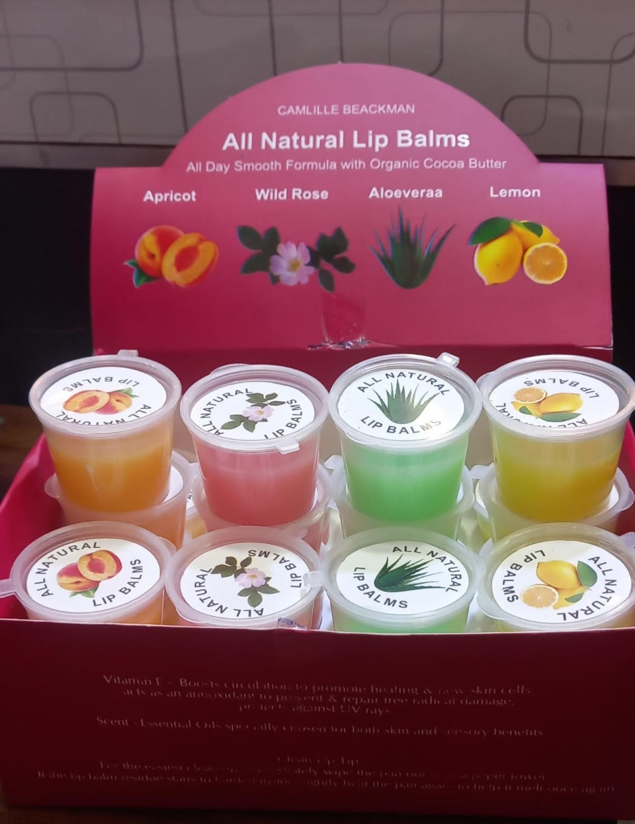 Lip Balms (12 Pcs Set) 4 Variant (Apricot / Wild Rose / Aloevera/ Lemon)